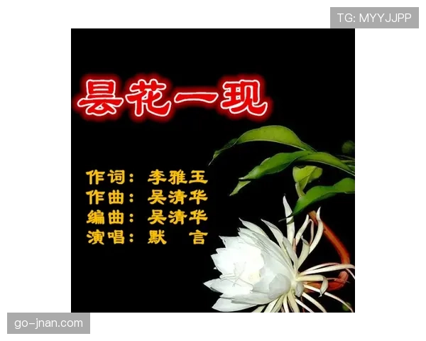 帕尔默的高光表现能否持续：是昙花一现还是实力兑现？